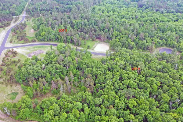 XX3 TBD Smiley Way, Pequot Lakes, MN 56472