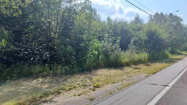 TBD Lake Street, Orr, MN 55771
