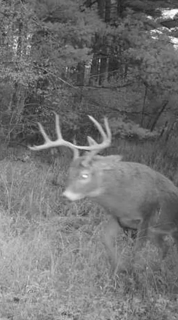 N43922 Cr-O, Hale Twp, WI 54758
