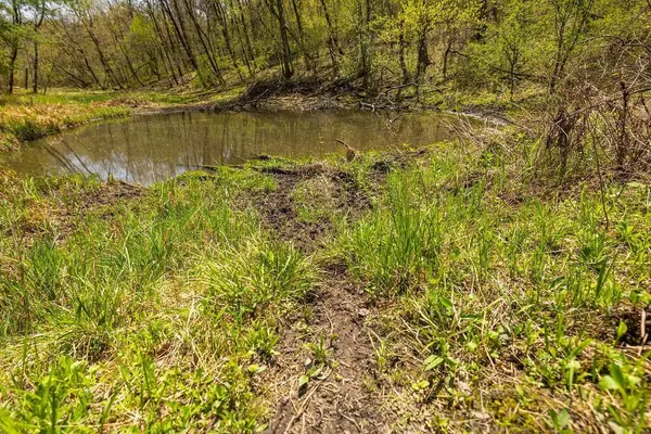 N43922 Cr-O, Hale Twp, WI 54758
