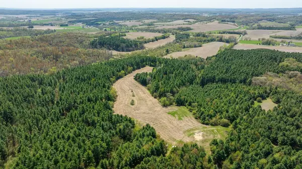 N43922 Cr-O, Hale Twp, WI 54758