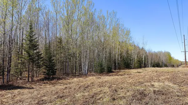 TBD2 Hwy. 115, Greenwood Twp, MN 55790