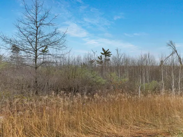 Lot 2 25th ST, Chetek Twp, WI 54728