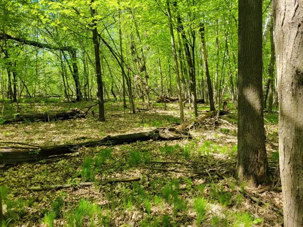 TBD 125th AVE, Beaver Twp, WI 54889