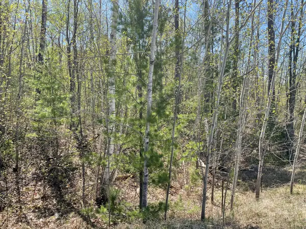 5610 Birchbark LNDG, Biwabik, MN 55708