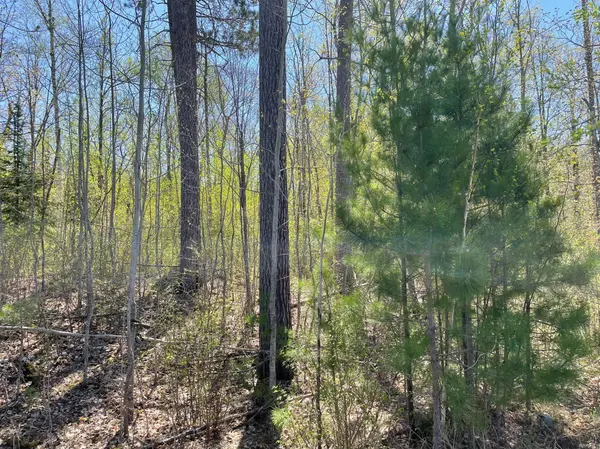 5610 Birchbark LNDG, Biwabik, MN 55708