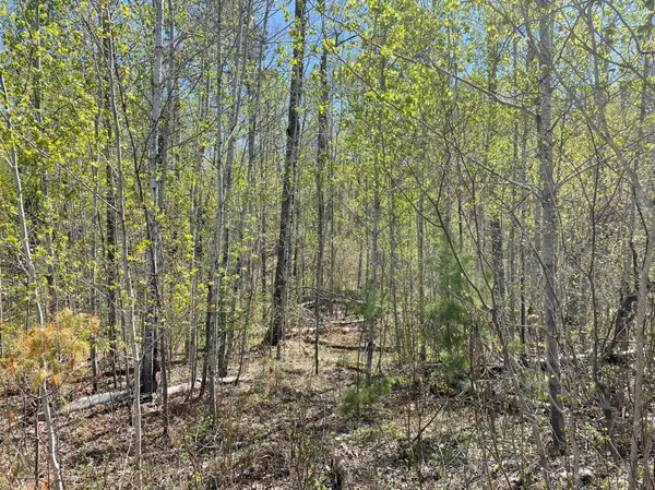 5618 Birchbark LNDG, Biwabik, MN 55708