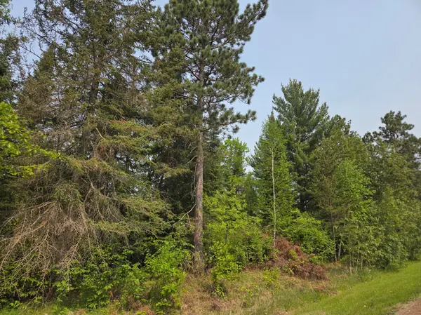 TBD Graycalm CT SE,  Bemidji Twp,  MN 56601