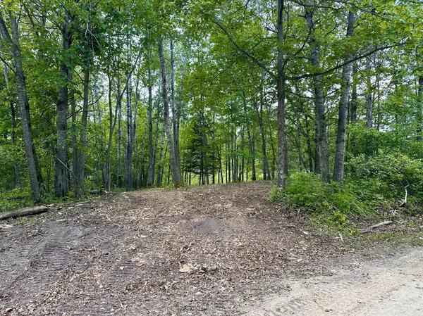 TBD Ja Bird Loop NE, Longville, MN 56655