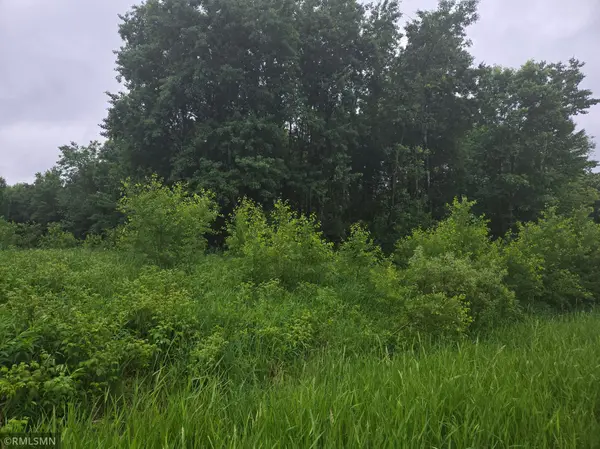xxx E Oak ST, Webster, WI 54893