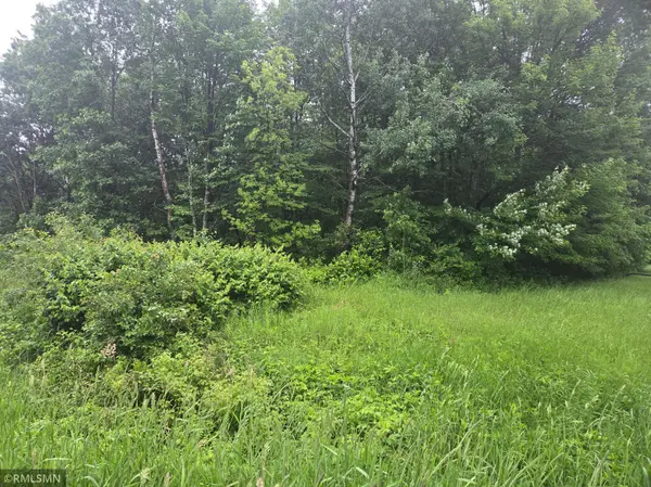 xxx E Oak ST, Webster, WI 54893