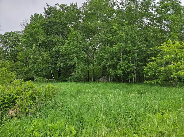 20 acres 22 1/4 ST, Sioux Creek Twp, WI 54728