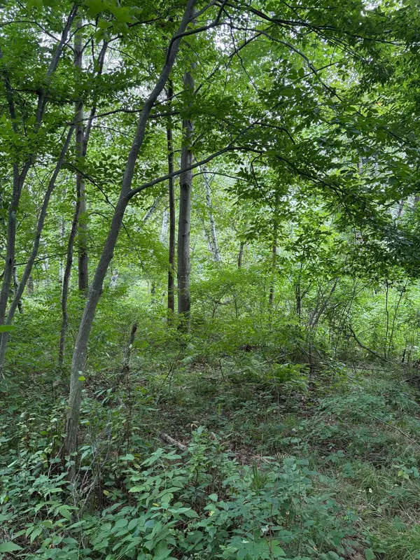20 acres 22 1/4 ST, Sioux Creek Twp, WI 54728