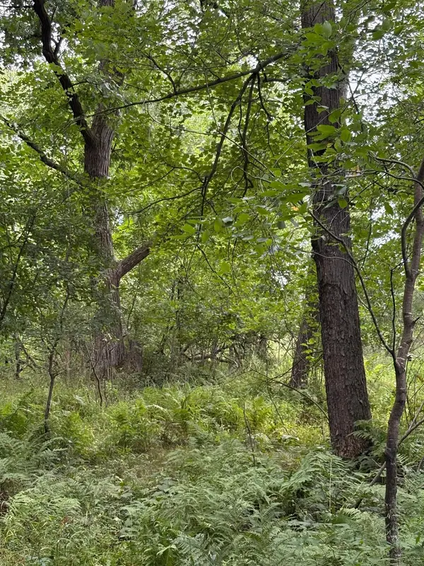 20 acres 22 1/4 ST, Sioux Creek Twp, WI 54728
