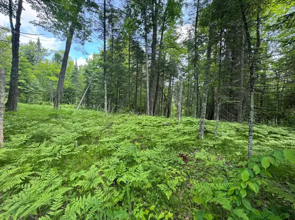 xxx Crystal Lake RD, Barnum, MN 55707