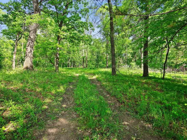 Lot 6 Central DR NE, Cambridge, MN 55008