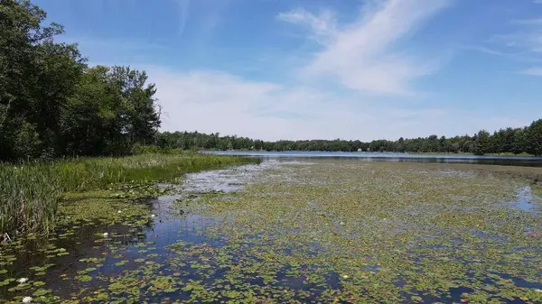 3275 Boreal LN, Woodrow Twp, MN 56452