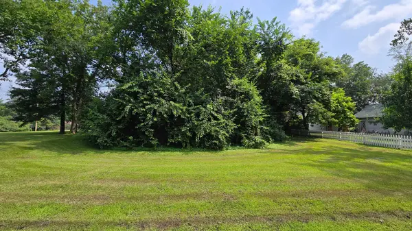 TBD Bluff ST, Clearwater, MN 55320