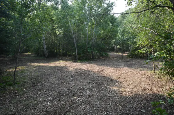 TBD 30th, Pine River Twp, MN 56474
