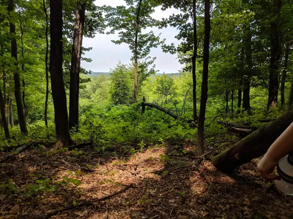 142 Acres 520th ST, Hay River Twp, WI 54772