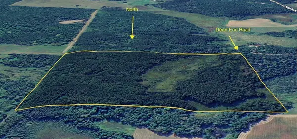 15xxx 500th St, Becida, MN 56678