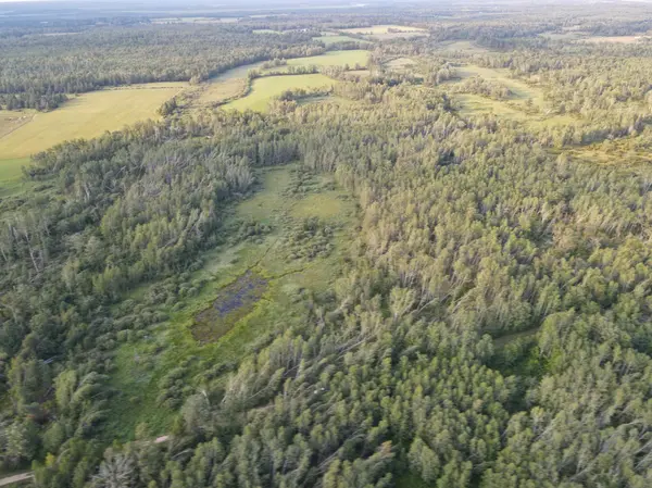 15xxx 500th St, Becida, MN 56678