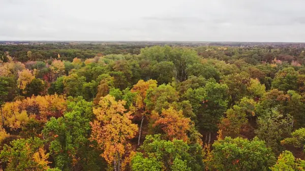 XXXX Tall Moon Pass, Danbury, WI 54830