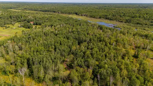 6XYZ County Road 6,  Automba Twp,  MN 55757
