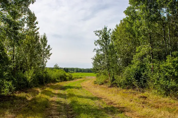 6XYZ County Road 6, Automba Twp, MN 55757