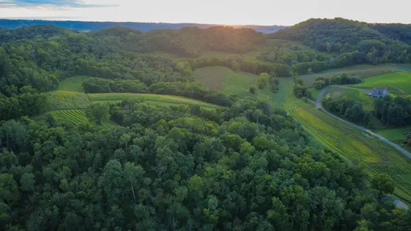 N31509 Hickory Hill RD, Arcadia, WI 54612