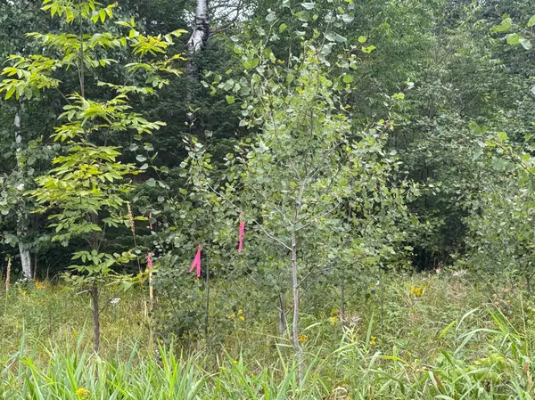 TBD Townline RD, Brimson, MN 55602