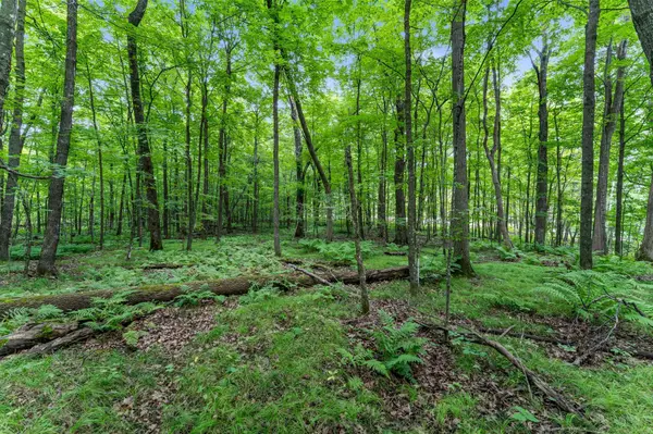 XXX 25 1/4 AVE, Maple Plain Twp, WI 54829