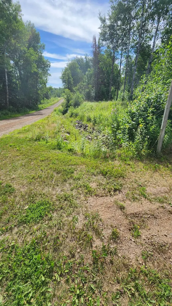 TBD 278th Lane, Millward North Twp, MN 55783