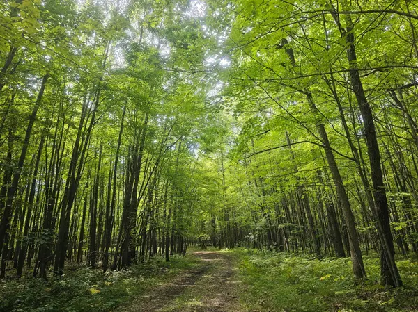Lot 8 Ken Can Lane, Jackson Twp, WI 54893