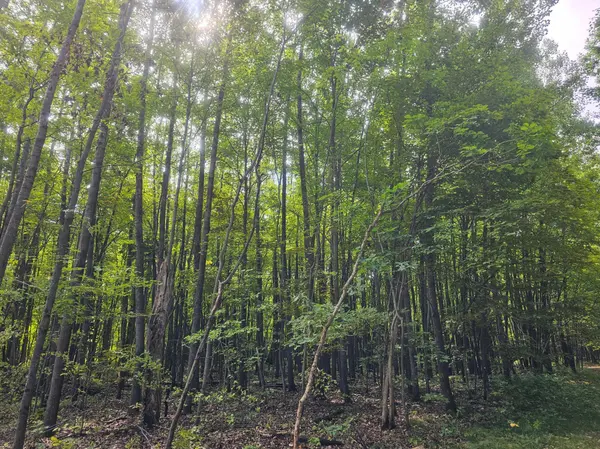 Lot 8 Ken Can Lane, Jackson Twp, WI 54893