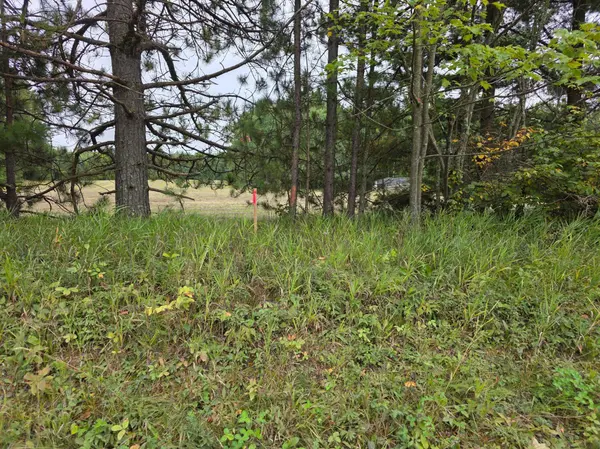 xxx Tract A Pioneer RD, Barnum, MN 55707