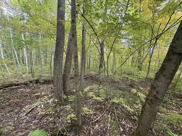 TBD 282nd AVE, Birch Creek Twp, WI 54745