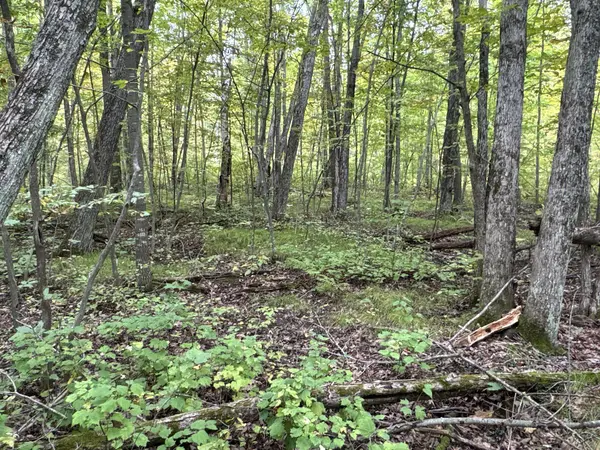 TBD 282nd AVE, Birch Creek Twp, WI 54745