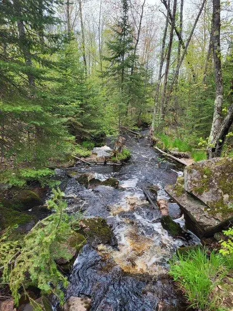 34186 State Road 35, Blaine Twp, WI 54830
