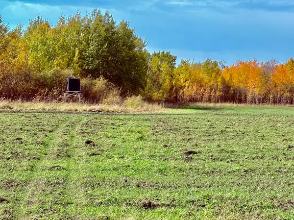 TBD 13th Ave SW, Baudette, MN 56623
