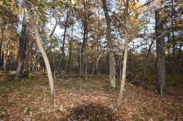 TBD Ranchette Drive, Breezy Point, MN 56472