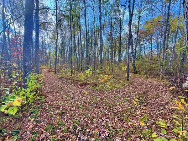 50416 US Highway 169, Palisade, MN 56469