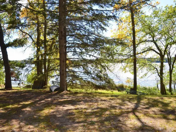 12665 Far Portage DR, Todd Twp, MN 56470