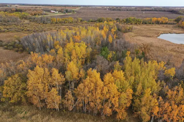 TBD Co Hwy 1, Amor Twp, MN 56515