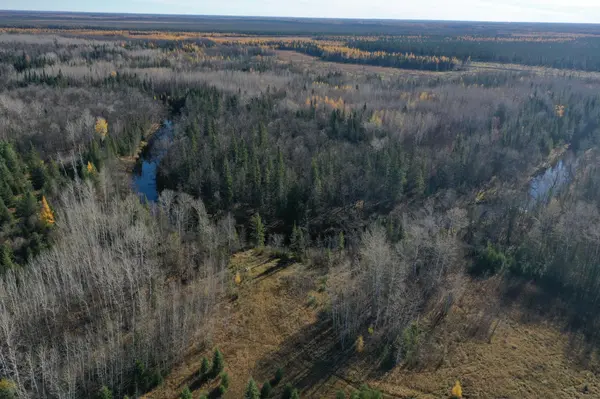 TBD Township Rd. 98, Loman, MN 56654