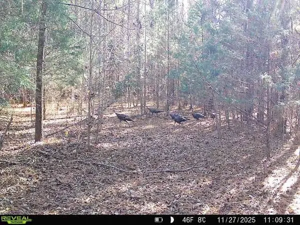 00 Simpson Mill RD, Laurens, SC 29360
