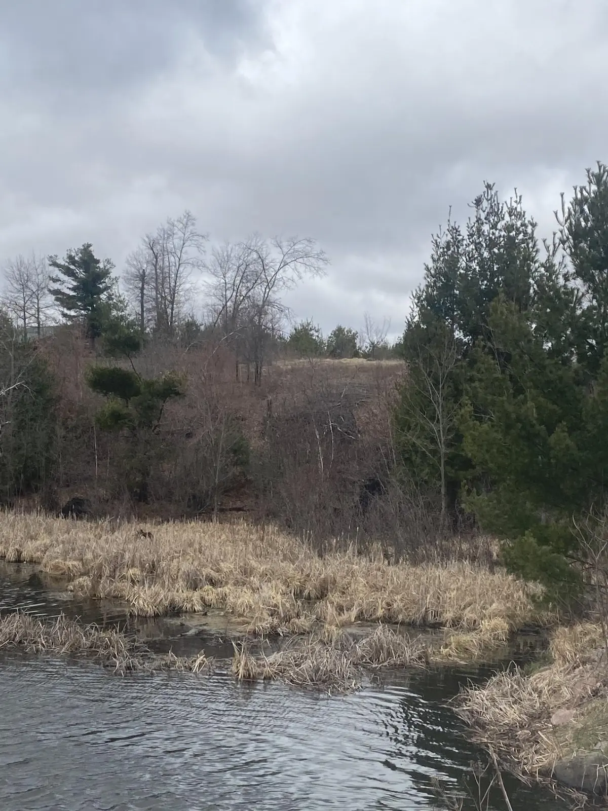 Lot 1 10-7/8 AVE, Cameron, WI 54822