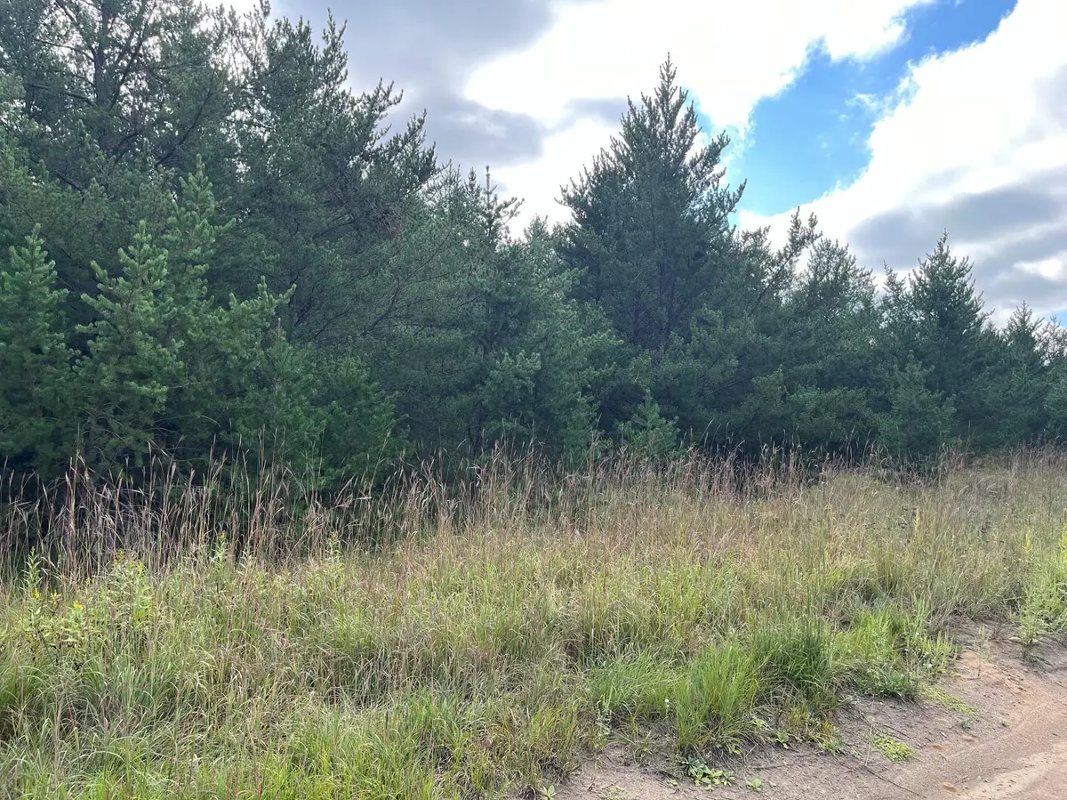 1707 Hassman Hill Tract C RD SW, Pine River, MN 56474
