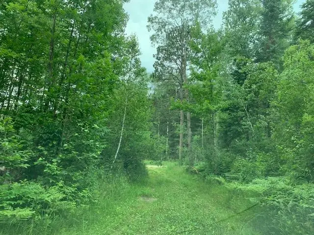 TBD Mushgee RD, Deer River, MN 56636