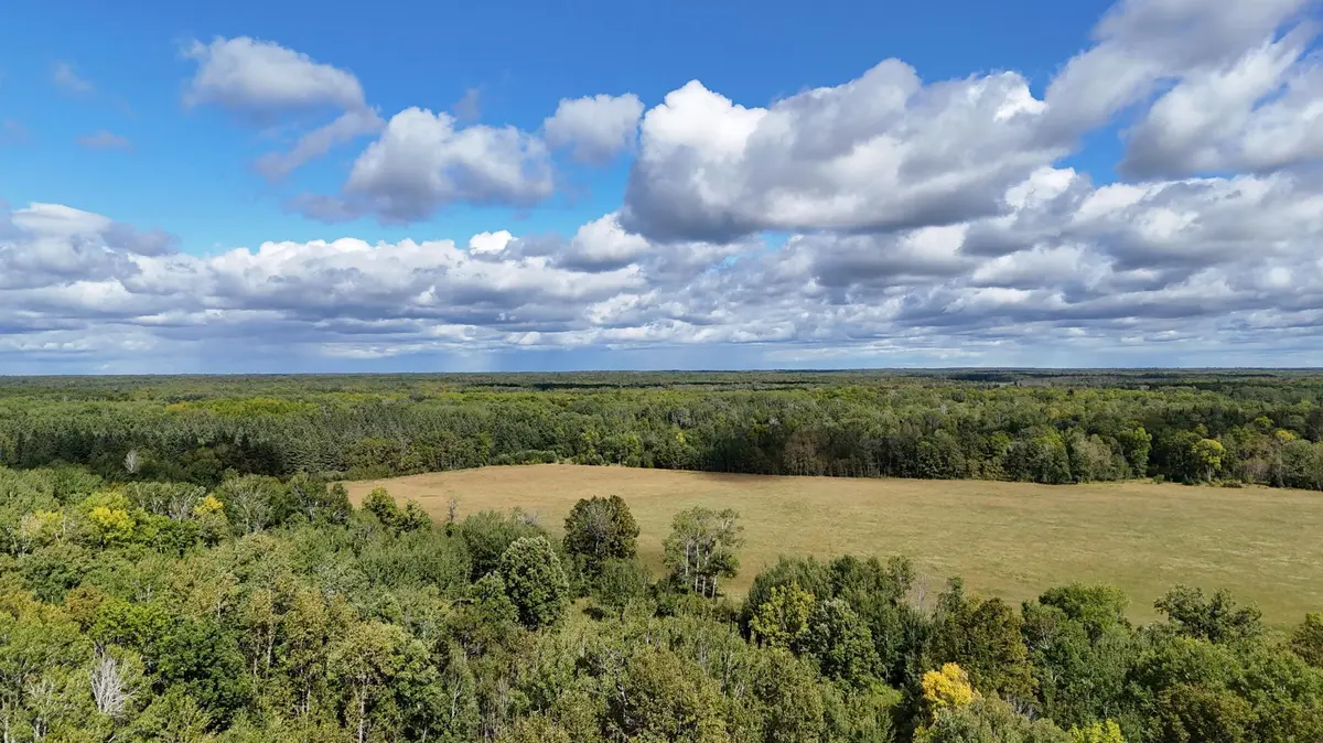 TBD County Road 31, Pomroy Twp, MN 56688